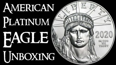 1 oz American Platinum Eagle Unboxing