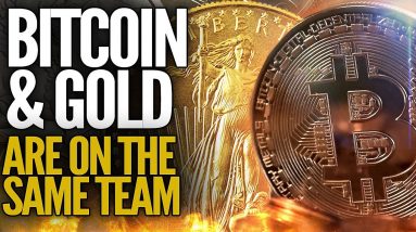 Bitcoin & Gold Are On The Same Team - Mike Maloney