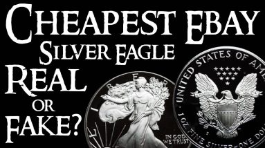 BUYER BEWARE! I BOUGHT THE CHEAPEST SILVER EAGLE ON EBAY - REAL OR FAKE?