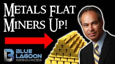Gold and Silver Stay Flat, But Gold Miner Stocks are Up! Rana Vig Interview