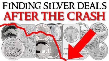 Finding GREAT DEALS on Silver - After the Crash!