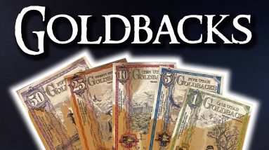 GOLDBACKS - Should YOU Be Buying The Goldback?