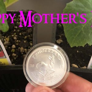 Happy Mother's Day and Thoughts on Gardening