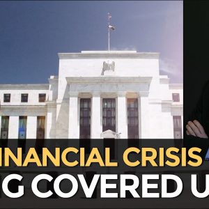 Is A Financial Crisis Being Covered Up? Mike Maloney