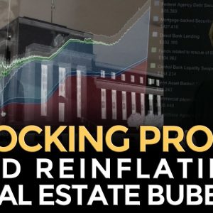 SHOCKING PROOF: Federal Reserve Reinflating Real Estate Bubble - Mike Maloney