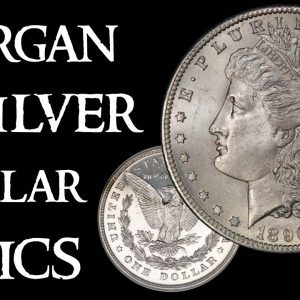Morgan Silver Dollar Basics - Coin Collecting and Silver Stacking