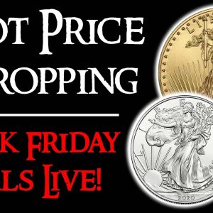 Silver and Gold Spot Price Dropping - 2020 Black Friday Deals Launch!