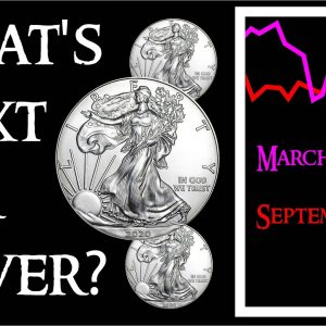 Silver Spot Price Drop March VS Sep - What's Next for Silver?