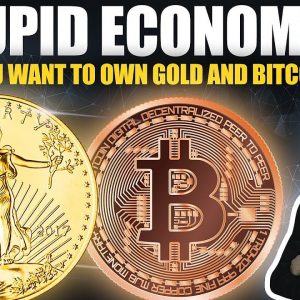 Stupid Economics - Why You Should Own Gold & Bitcoin NOW (not later)