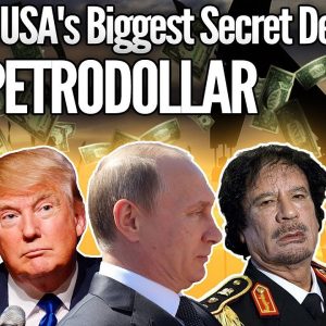 The Untold Story Behind USA's Biggest Secret Deal - The Petrodollar $