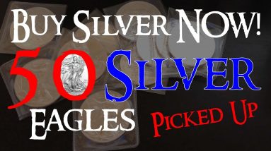 Why NOW is a Great Time to Buy Silver - 50 Silver Eagles Picked Up!