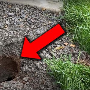 Mystery Hole APPEARED in My Backyard.. What is Inside?!?