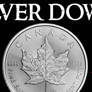 Why is Silver Price Down Today When Inflation is at a 40+ Year High?!?